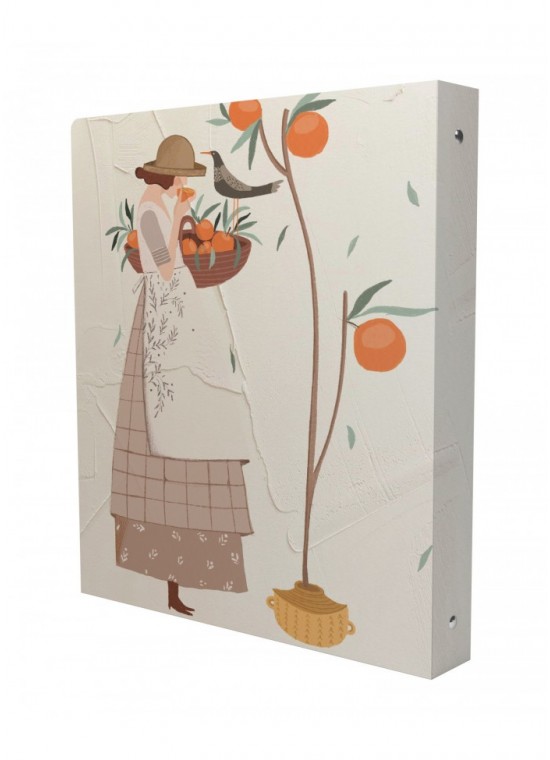 کلاسور 6 حلقه وزیری مسترنوت کد 27