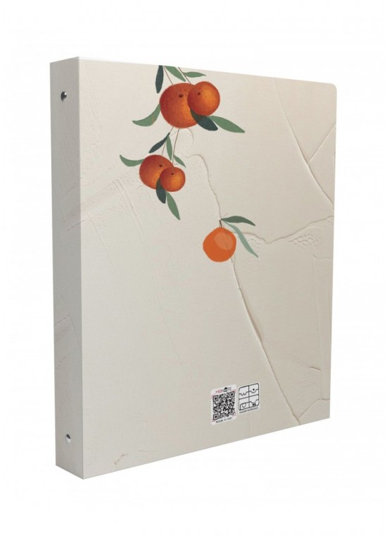 کلاسور 6 حلقه وزیری مسترنوت کد 27