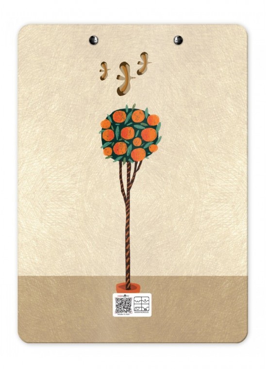 تخته شاسی A4 مسترنوت کد 17