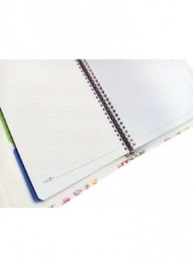 کلاسور 26 حلقه کد N-27 طرح دونالد گانگستر