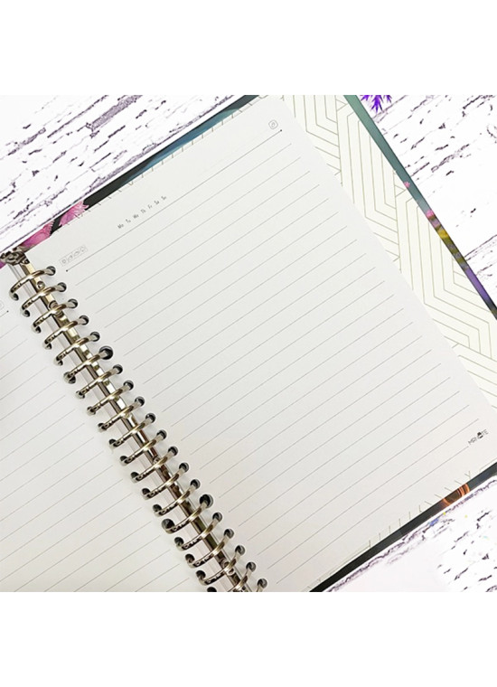 کلاسور 20 حلقه A5 مسترنوت کد 30